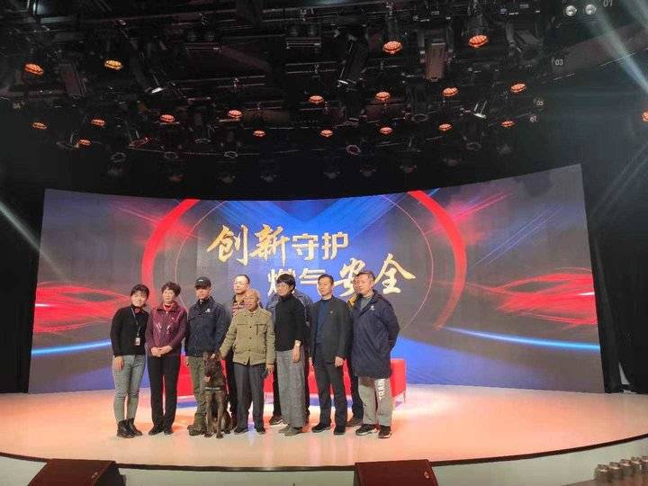 齐鲁晚报网-山东新闻门户 传播品质资讯